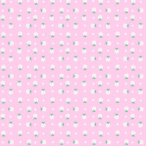 White rose & polka dot on pink