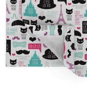 Paris icons and french text travel theme with mustache poodle eiffel tower and sacre coeur