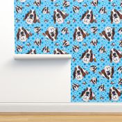 Basset Hound in Blue