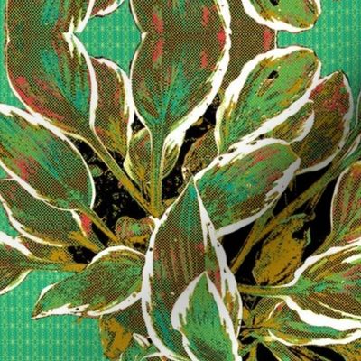 Hosta Waltz - Limited Palette