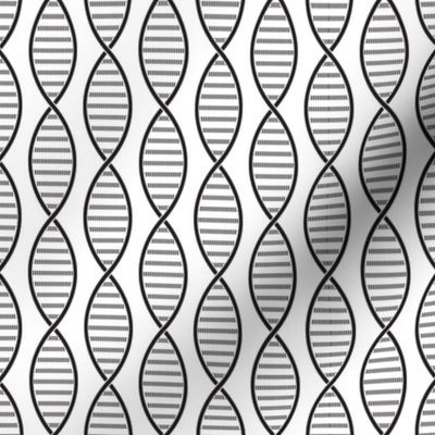 DNA Strands (White and Black)