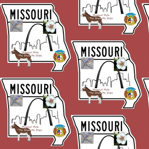 Missouri_state