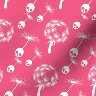 Skull Dandelion Seeds Pink