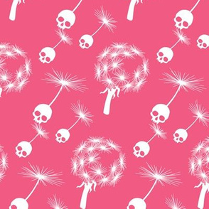 Skull Dandelion Seeds Pink