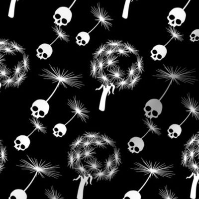 Skull Dandelion Seeds