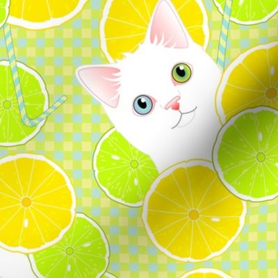Lemonade Kitties
