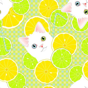 Lemonade Kitties