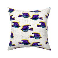 bananrama_angelfish_purple