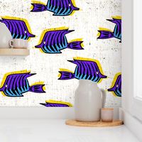 bananrama_angelfish_purple