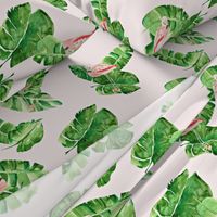 Banana Leaves And Flamingos