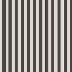 charcoal  Stripes
