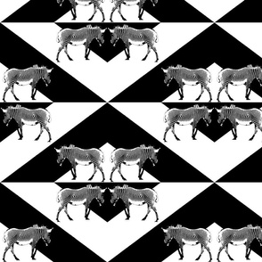 Zebra Triangles