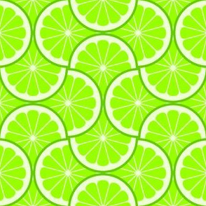 04293497 : citrus scale 4g X : lime