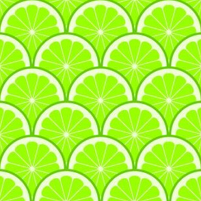 04293520 : citrus scale 1x X : lime