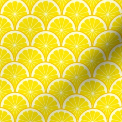04293521 : citrus scale 1x X : lemon