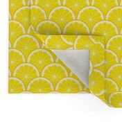 04293521 : citrus scale 1x X : lemon