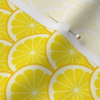 04293521 : citrus scale 1x X : lemon