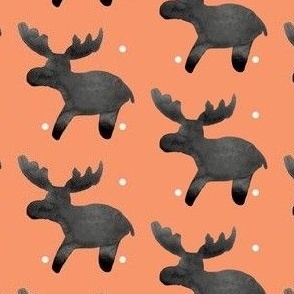 cestlaviv_moose_COALdot_coral