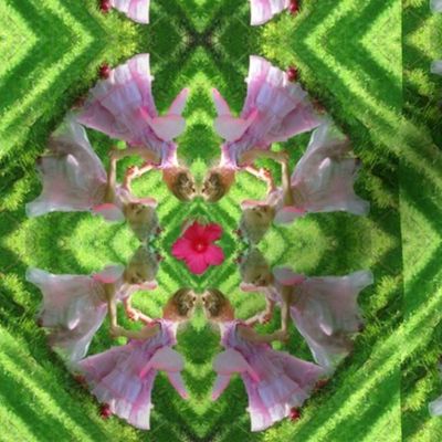 Fairy Flower Kaleidoscope