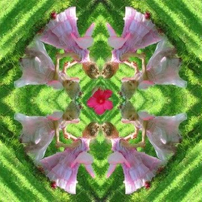 Fairy Flower Kaleidoscope