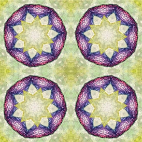 Green Grass Star Mandala