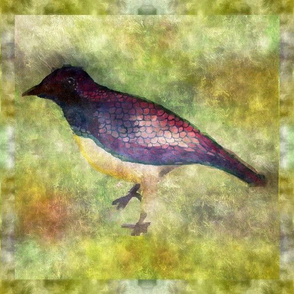 Watercolor Jaybird