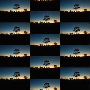 Sunset Skyline Checkerboard - Australian Landscape (Ref. 1805 )