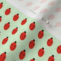 ladybug rows