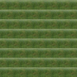 Rippling Fields of Green Pastures - Small Scale Horizontal Stripes (Ref. 3675b)