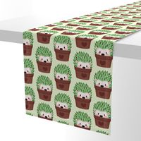 Hedgehogs disguised as cactuses