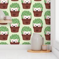 Hedgehogs disguised as cactuses