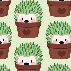 Hedgehogs disguised as cactuses
