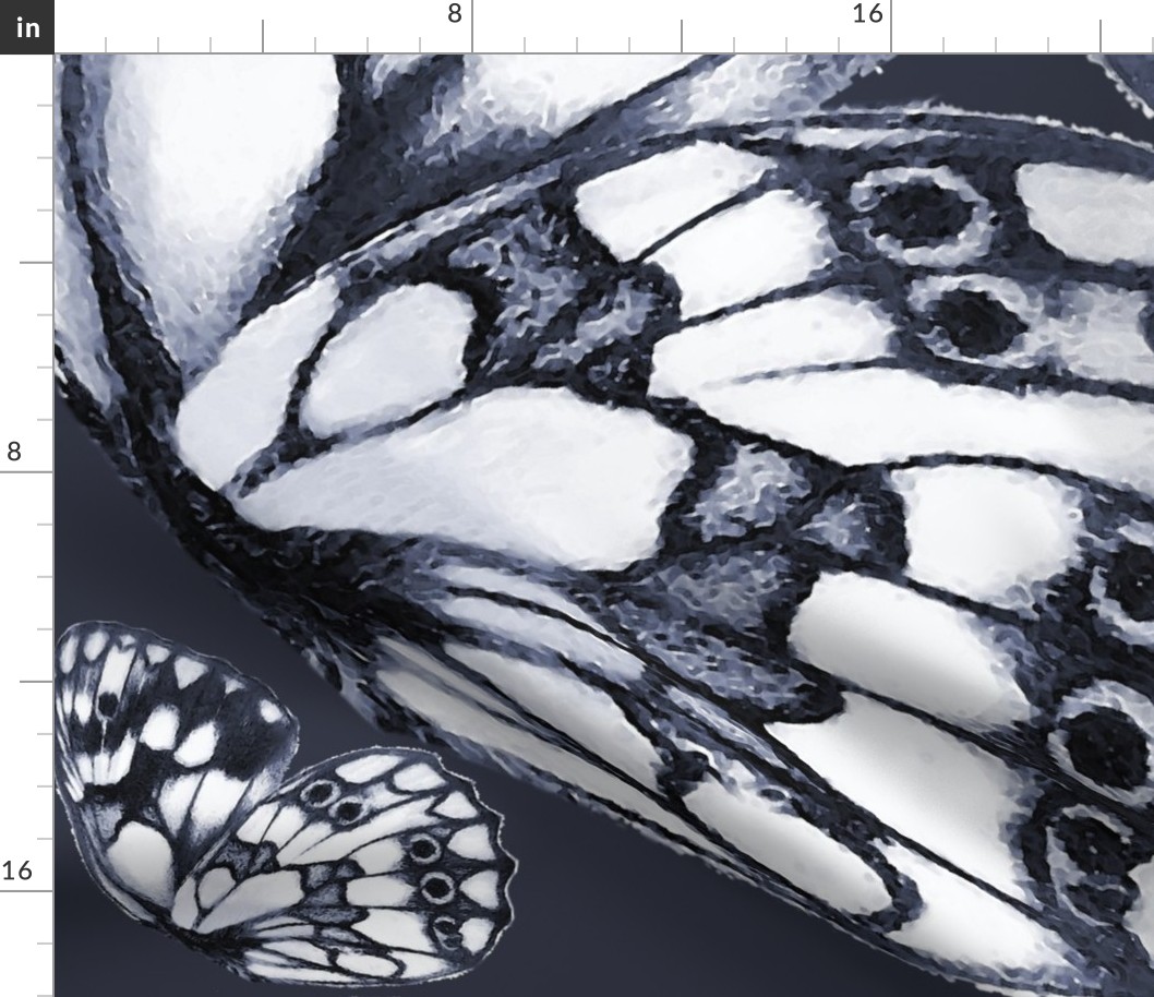 Marbled white (Melanargia galathea) butterfly wings