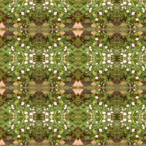 Floral Paths in the  Garden Maze (Ref. 0378)