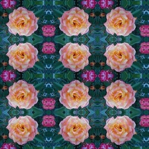 Blushing Rose Blooms (Ref. 3147)