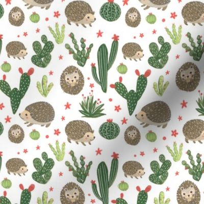 Prickly Friends - Hedgehog & Cacti