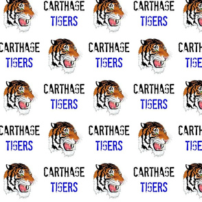 Carthage Tigers 2015