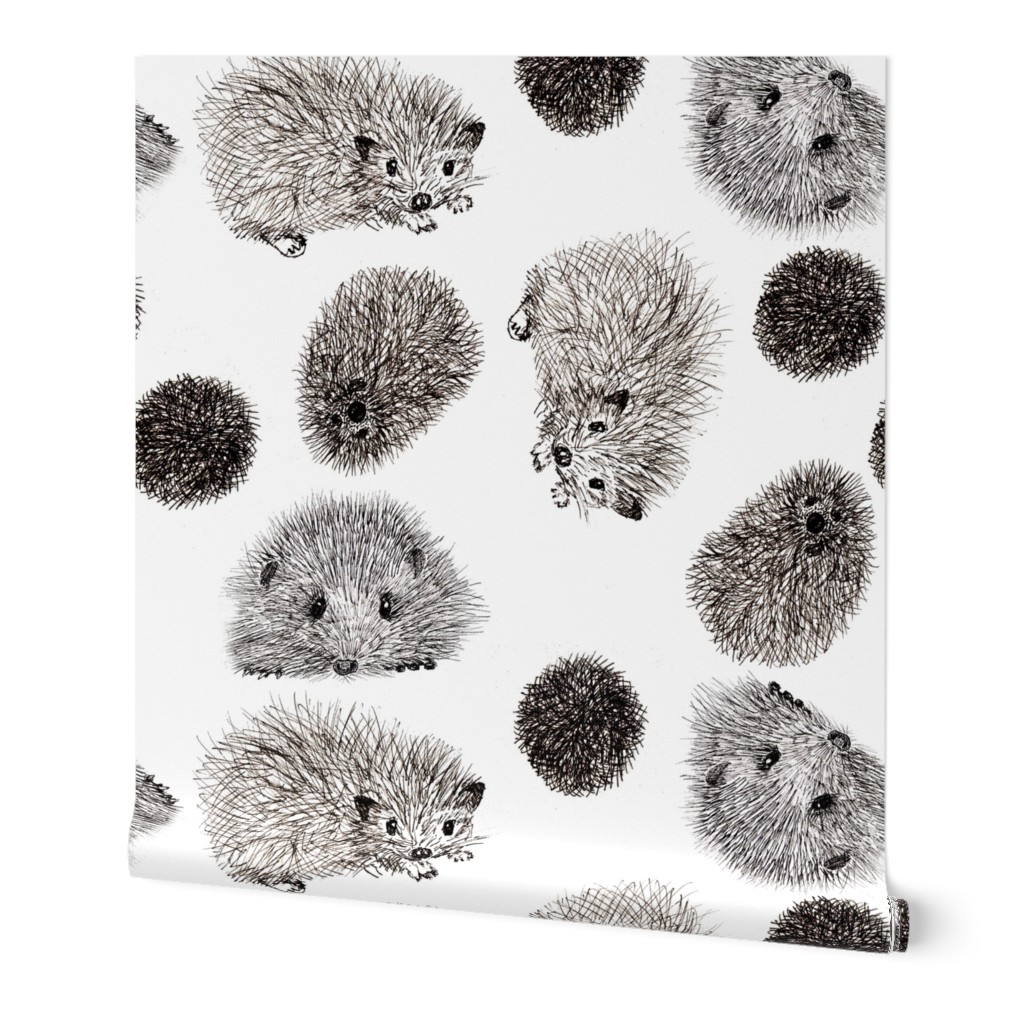 Hedgehogs