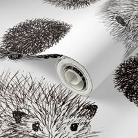 Hedgehogs