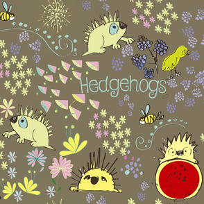 Curious hedgehogs