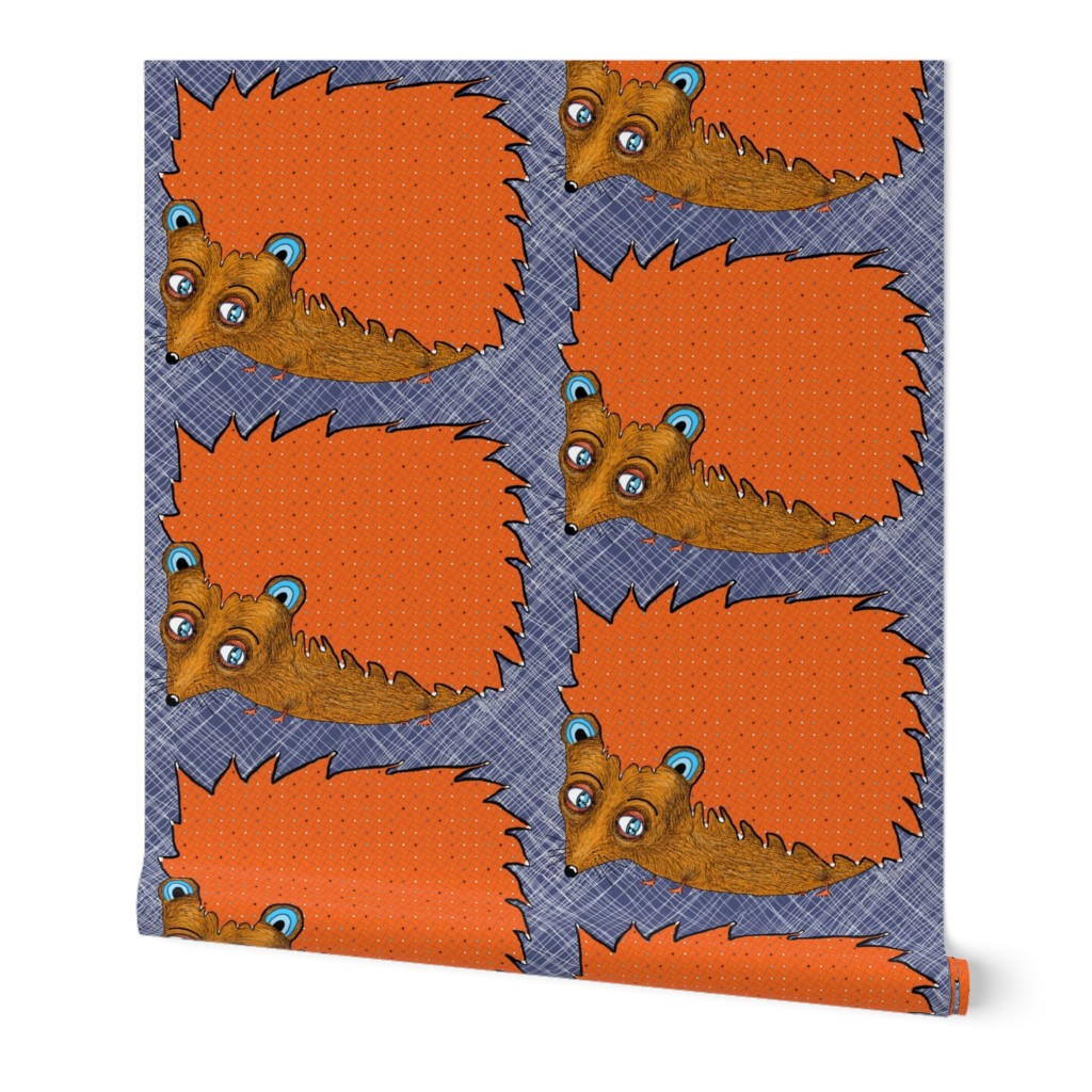 Big-Eyed Tiny-Footed Hedgehog, large scale, blue orange brown