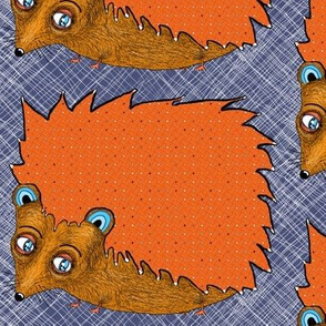 Big-Eyed Tiny-Footed Hedgehog, large scale, blue orange brown