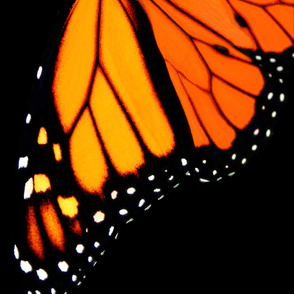 Monarch Butterfly Skirt Panel Adult Size