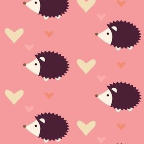 Hedgehog pink