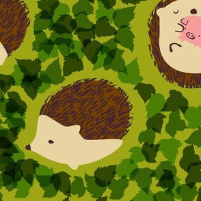 Hedgehogs in Hedges