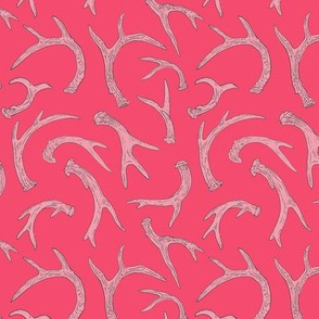 Antlers Hot Pink