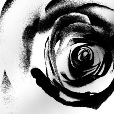 rose_black_ink_stipple