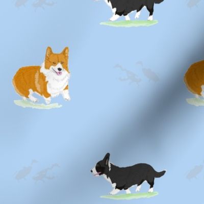 Herding Corgis - Blue