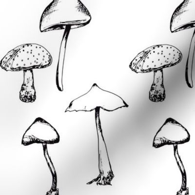Mushrooms Drawing, Black & White