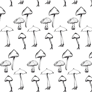 Mushrooms Drawing, Black & White